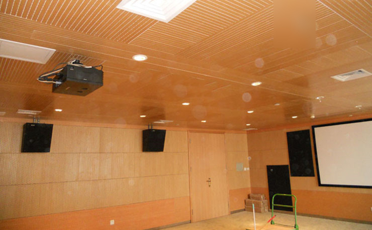 廣東佛山南海某公司會(huì)議室吸音工程
